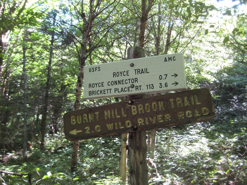 Royce (15).JPG - The trail up to West Royce was steep, but had plenty of switchbacks to make the hike easier.